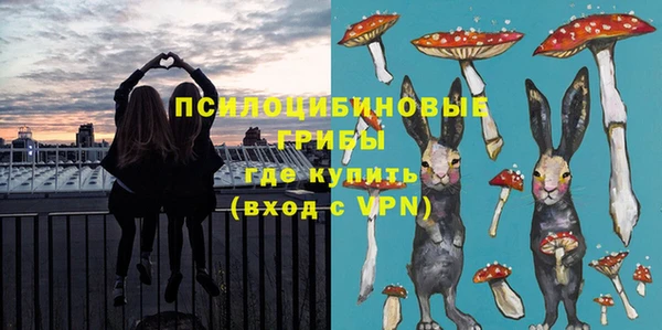 меф Арсеньев