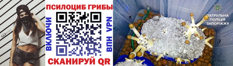 Галлюциногенные грибы MAGIC MUSHROOMS  цены наркотик  Очёр 